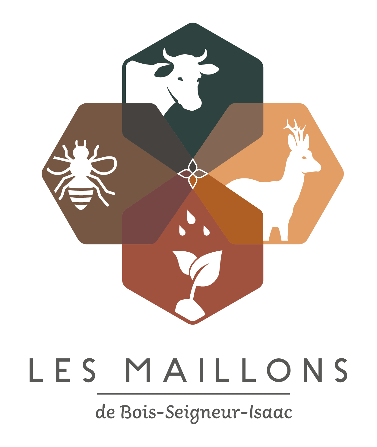Maillons