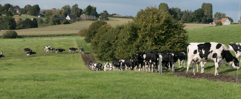 Ferme de la Warde