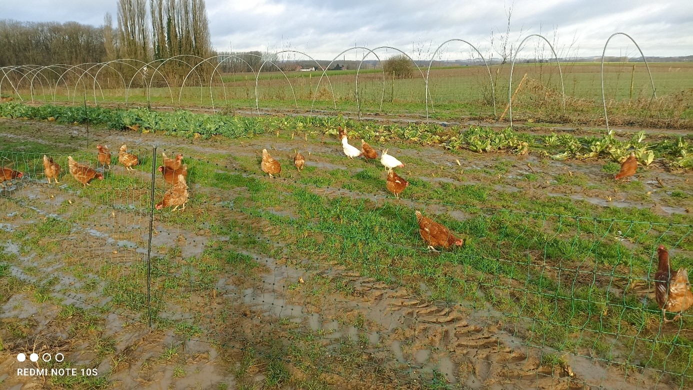 Ferme du Tilleul