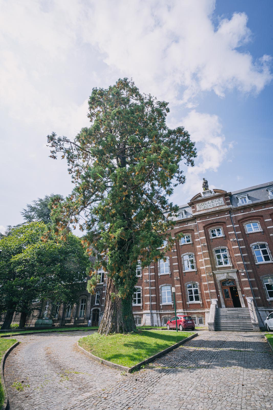 Arbre de l'année