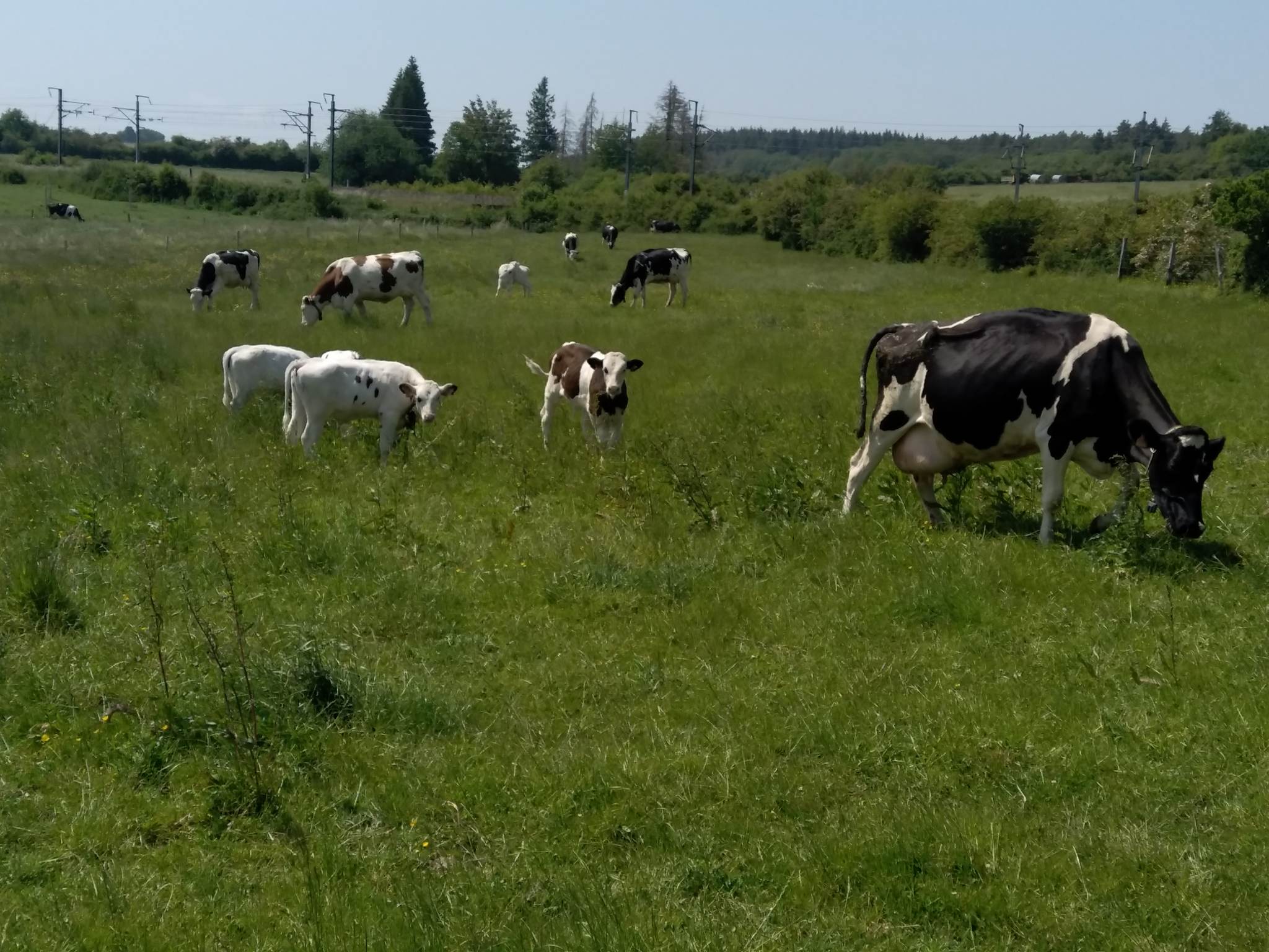 Agricultures